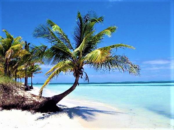 Spiaggia caraibica a CUBA